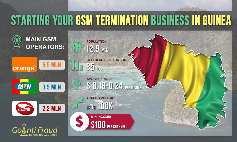 Guinea: Getting Your GSM Termination Business Started 