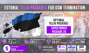 Estonia Telia plans for GSM termination