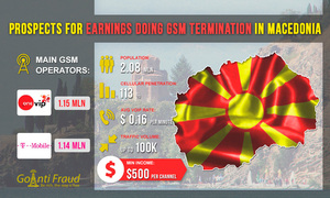 Macedonia: Prospects for Making Money on GSM Termination