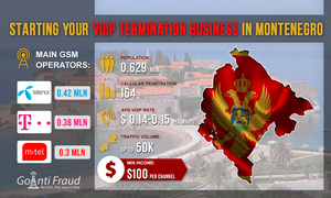 Montenegro: Starting Your VoIP Termination Business