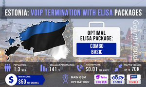 Эстония: VoIP терминация с пакетами Elisa