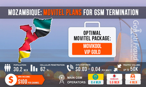 Mozambique: Movitel plans for GSM termination