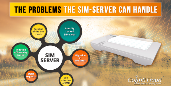 The Problems the SIM-server Can Handle