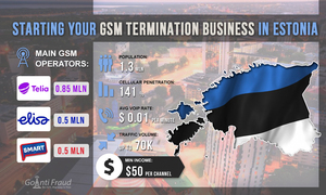 Starting a VoIP termination business in Estonia