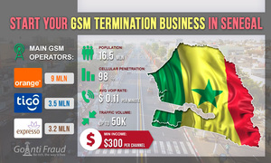 Старт бизнеса в области GSM терминации в Сенегале