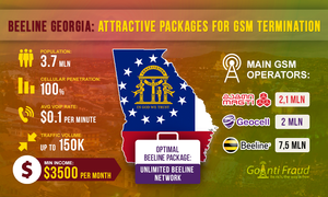 Beeline Georgia: Attractive Packages for GSM Termination