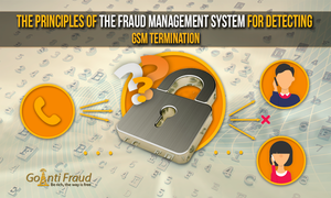The principles of the Fraud Management System for Detecting Termination
