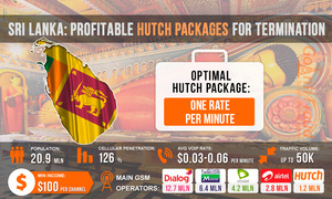 Sri Lanka: profitable Hutch plans for termination