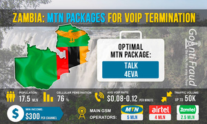 Zambia: MTN plans for VoIP termination