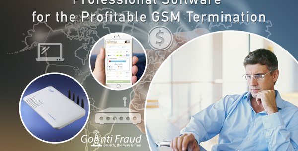 Professional Software for the Profitable GSM Termination
