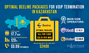 Optimal Beeline Packages for VoIP Termination in Kazakhstan
