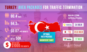 Turkey: Avea Packages for Traffic Termination 