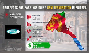 Eritrea: prospects for starting a business in GSM termination