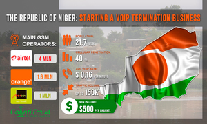 Starting Your VoIP Termination Business in the Republic of Niger