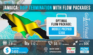 Jamaica: VoIP Termination with Flow plans