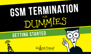 GSM Termination for "Dummies": Getting Started