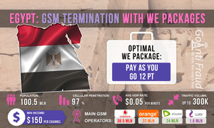 Egypt: GSM Termination with WE Packages