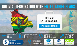 Bolivia: Termination with Entel Tariff Plans
