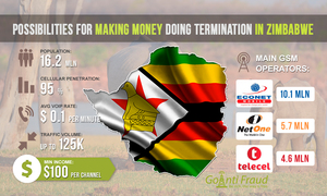 Opportunities for Making Money in Zimbabwe