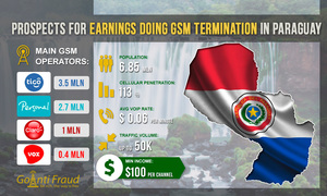 Prospects for Earnings Doing GSM Termination in Paraguay
