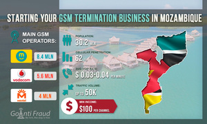 Mozambique: Starting Your GSM Termination Business 