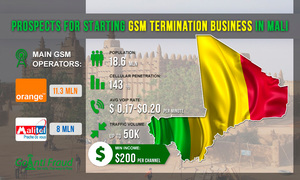 Mali: Prospects for Starting a GSM Termination Business