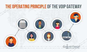 The Operating Principle of the VoIP Gateway