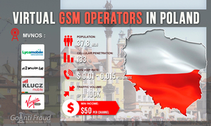 Virtual GSM Operators in Poland