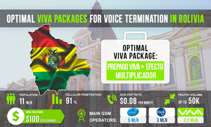 Bolivia: Voice Termination via Optimal Viva Packages