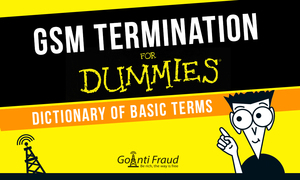 GSM Termination for Dummies: Dictionary of Basic Terms
