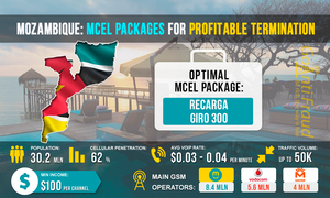 Mozambique: MCEL packets for profitable termination