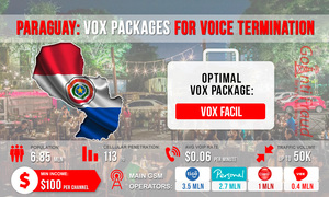 Paraguay: Voice Termination via Vox Packages